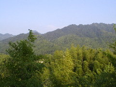 jx200407240205.jpg