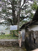 jx200407240245.jpg